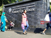 Kebun Raya Bogor Manjakan Pengunjung dengan Wifi Gratis 