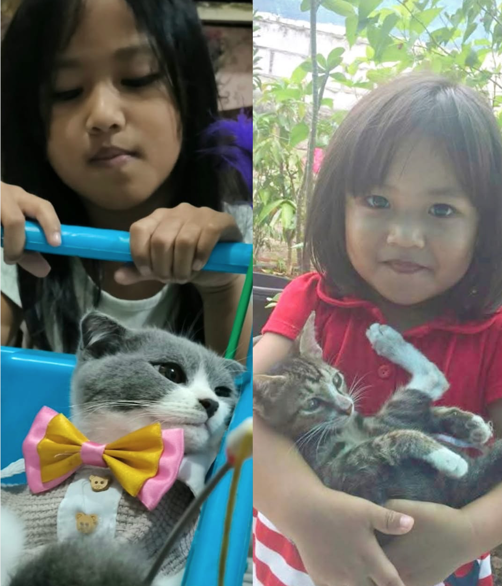 Nutrisi Tepat Jaga Kesehatan Anabul, Bisa Habiskan Lebih Banyak Waktu Bersama Kesayangan 