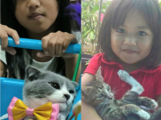 Nutrisi Tepat Jaga Kesehatan Anabul, Bisa Habiskan Lebih Banyak Waktu Bersama Kesayangan 