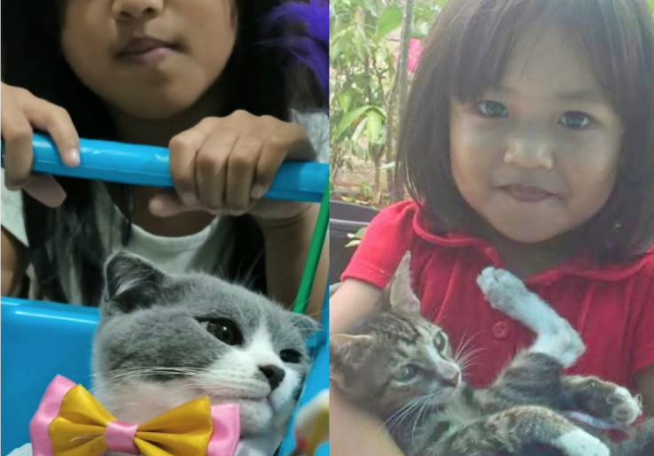 Nutrisi Tepat Jaga Kesehatan Anabul, Bisa Habiskan Lebih Banyak Waktu Bersama Kesayangan 