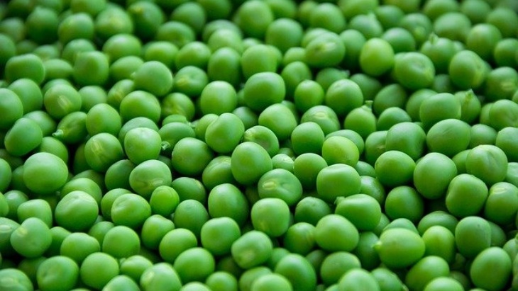 Kacang bisa menjadi alternatif pengganti protein hewani. (Foto: Pixabay/Devanath)