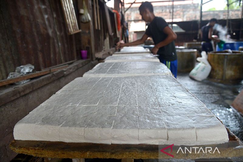 Pekerja menata tahu di sebuah industri tahu tradisional di Banda Aceh, Senin (14/2/2022). ANTARA/Ampelsa