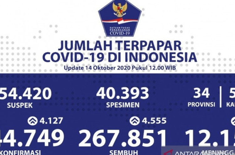 267 Ribu Rakyat Indonesia Berhasil Sembuh dari Corona