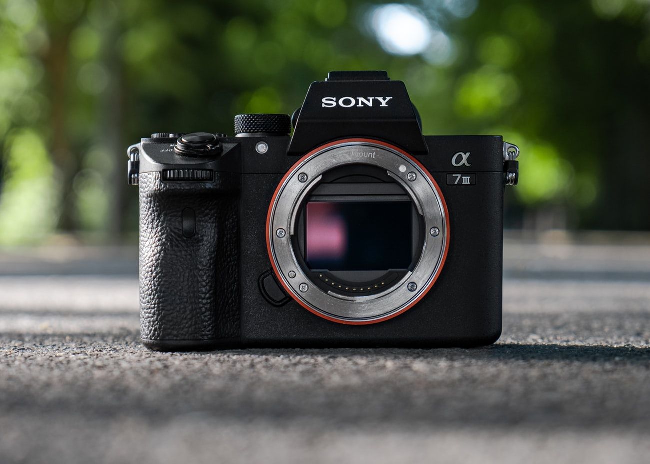 Cermati 4 Hal Penting Ini Sebelum Membeli Kamera Mirrorless