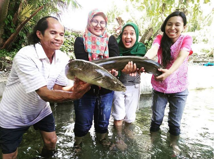Ikan di Desa Waai hidup damai dengan masyarakat setempat (Instagram/ashari_tutik)