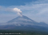 Gunung Semeru 4 Kali Erupsi hingga Minggu Sore, Tinggi Letusan sampai 1 Km
