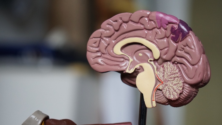 Multitasking Tidak Selalu Efektif