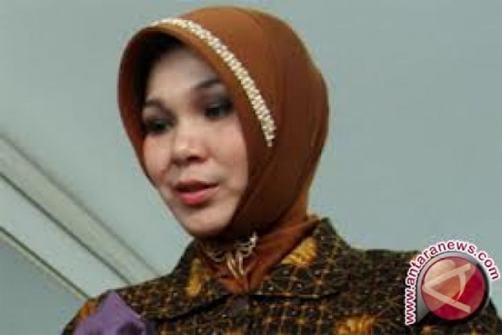 Komisi X DPR, Illiza Sa'aduddin Djamal. Foto: Antara