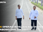 Ada Operasi Intelijen Adu Domba Prabowo dan Jokowi?