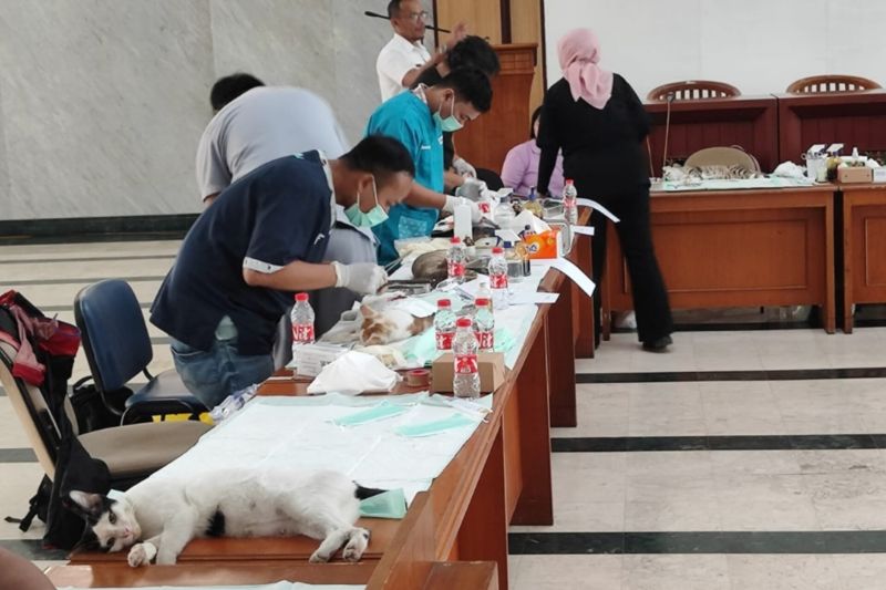 6 Mobil Khusus Kesehatan Hewan Bakal Beroperasi di Jakarta, Dimulai 2026