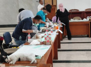 Komunitas Pecinta Hewan Dirangkul Jadi Tim Penangkap, Targetnya 2.000 Kucing Liar
