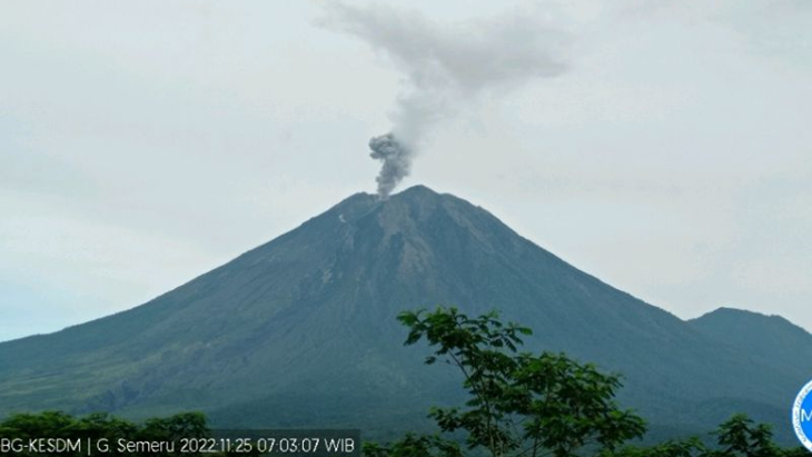 Gunung Semeru Lontarkan Abu Setinggi 500 Meter