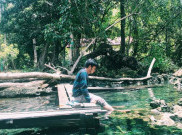 Ada Danau Ajaib di Hutan Biatan
