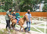 Ethes Naik Kuda Poni dan Kasih Makan Ular saat Diajak Jokowi ke Solo Safari