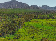 Indonesia Terima USD 46 Juta atas Aksi Iklim