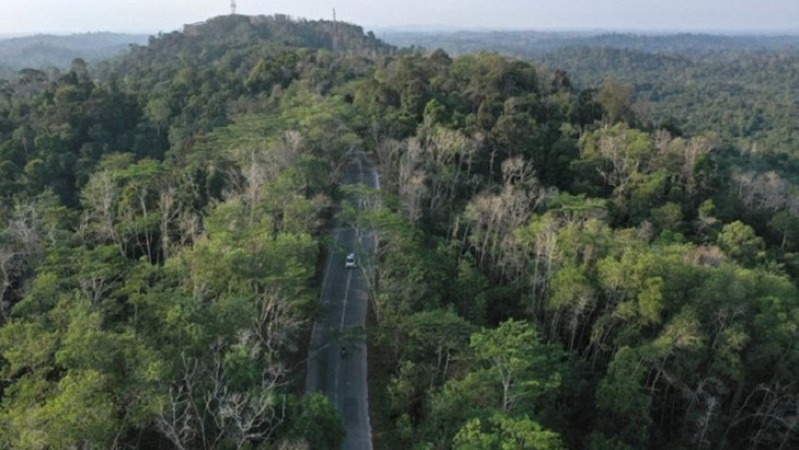 CaptionFoto aerial Taman Hutan Raya (Tahura) Bukit Soeharto di Kutai Kartanegara, Kalimantan Timur, Sabtu (31/8/2019). (ANTARA FOTO/Akbar Nugroho Gumay)