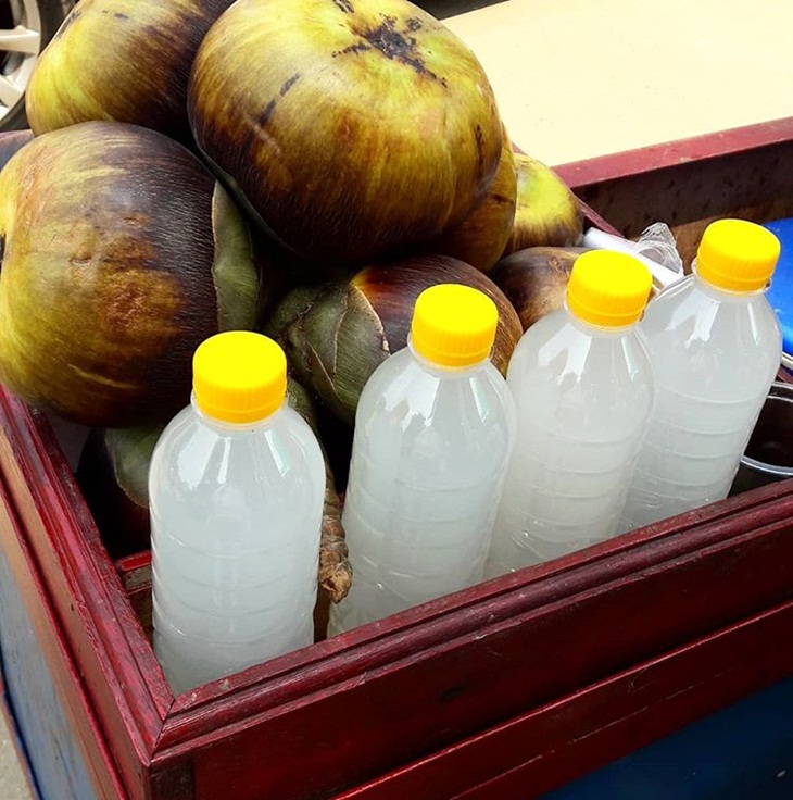 Air nira siwalan. (Foto: instagram.com/nurdiyanti.siti2)