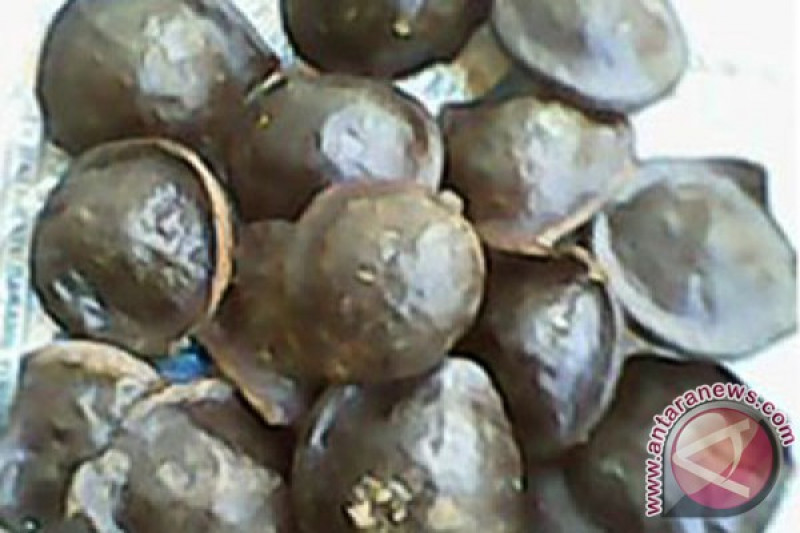 [Hoaks atau Fakta]: Makan Jengkol Akibatkan Stroke