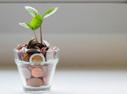 Alasan Pentingnya Punya Passive Income