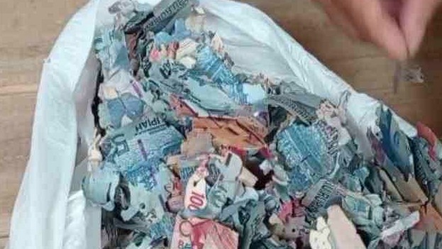  Warga Coba Satukan Uang Rp 35 Juta Dimakan Rayap Dengan Kertas HVS