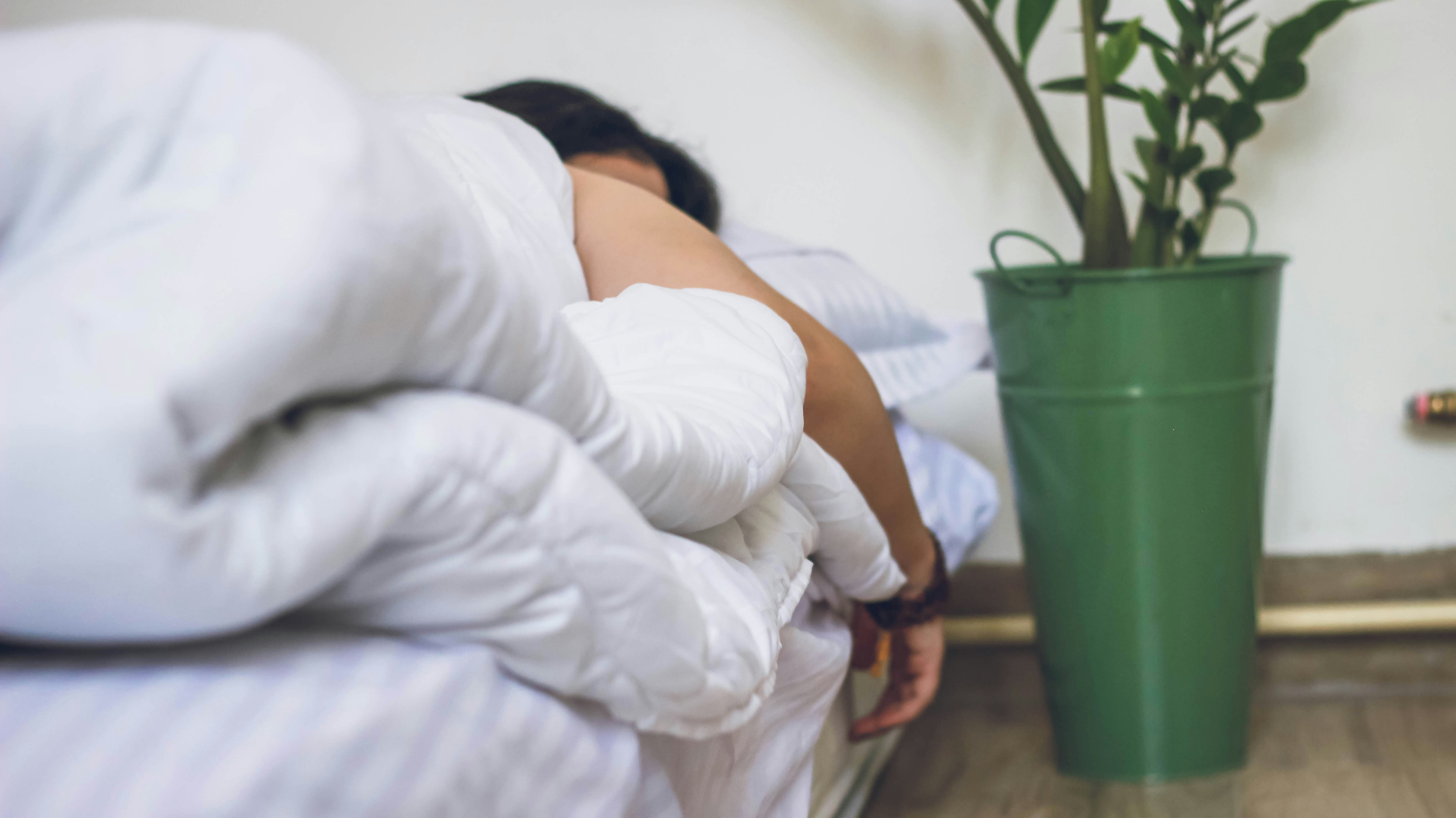 Tidur Berkualitas Tergantung dari Pola Makan, Ayo Perbanyak Makan Buah dan Sayur