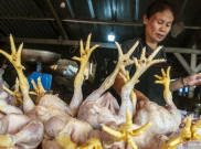 Pemprov DKI Gelar Operasi Pasar Daging Ayam Selama 5 Hari