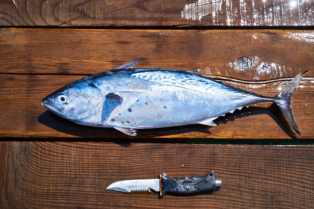 3 Makanan Pengganti Kaya Omega-3 untuk Kamu yang Tidak Suka Ikan