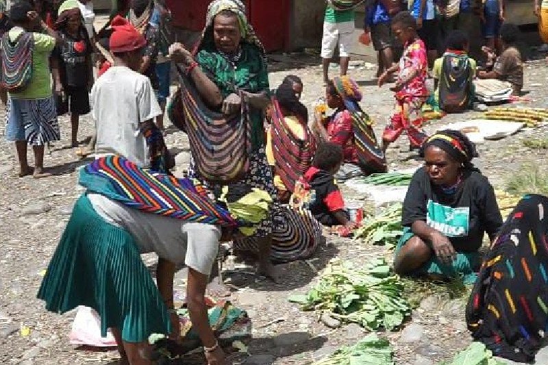 Koridor HAM Harus Jadi Acuan Penumpasan KKB di Papua