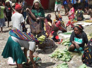 Koridor HAM Harus Jadi Acuan Penumpasan KKB di Papua