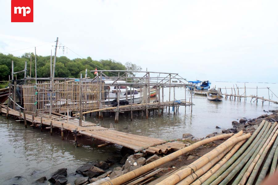 Abrasi Pantai Ketapang Mauk Semakin Tidak Terbendung