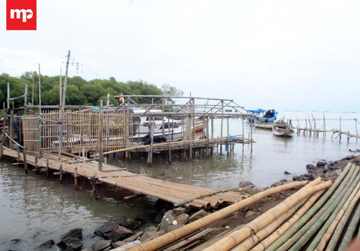Abrasi Pantai Ketapang Mauk Semakin Tidak Terbendung