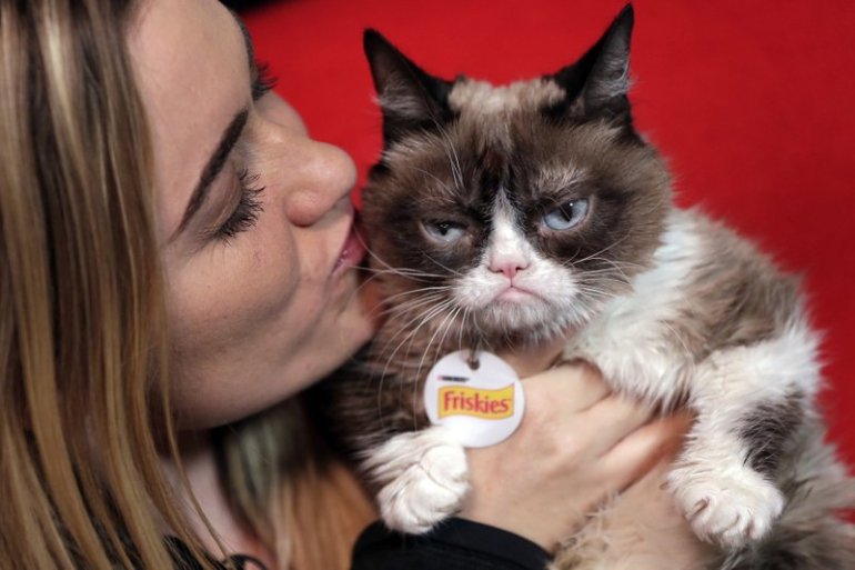 Mengenang Grumpy Cat, Kucing Pemarah Sensasi Internet