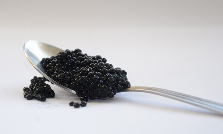Dibalik Mewahnya Caviar, Ternyata Bermanfaat Bagi Tubuh