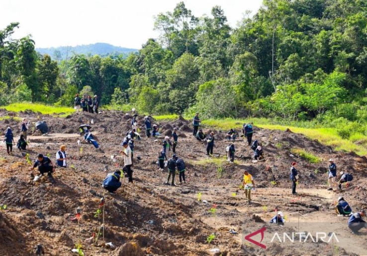 Pulihkan Kawasan, Otorita Tanam 5 Juta Pohon di Wilayah Ibu Kota Nusantara