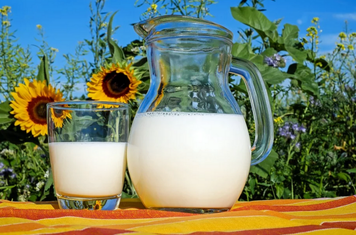 Susu (Foto: Pixabay/Couleur)