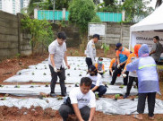 Pemkot Jakpus Taman Cabai di Lahan 2.570 Meter Persegi Buat Kendalikan Inflasi 