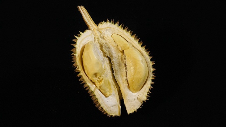 Penyuka Durian Sangat Beruntung, ini Manfaat Si Raja Buah untuk Tubuh