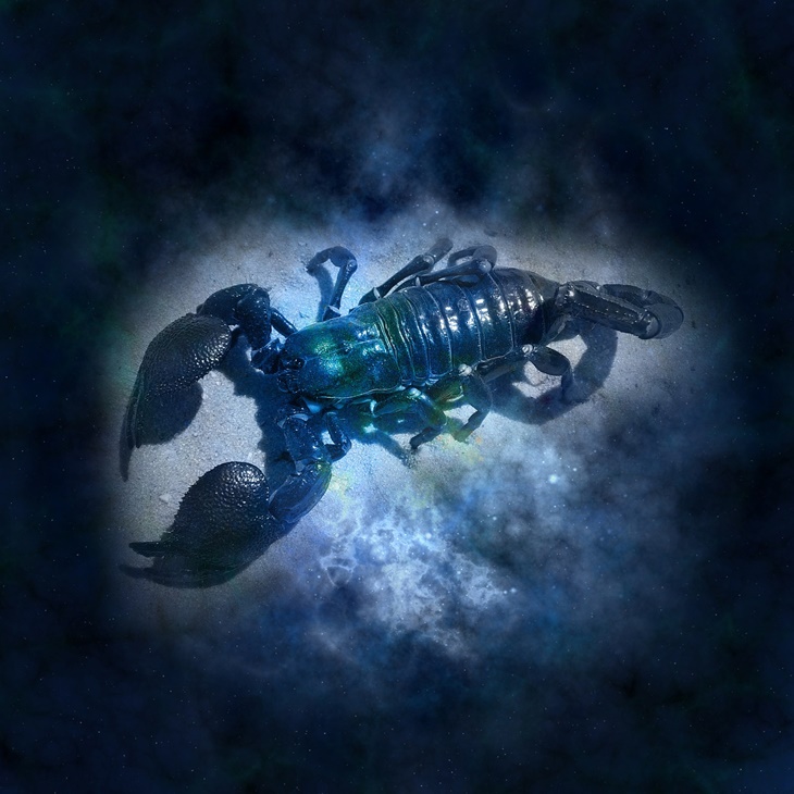 Scorpio
