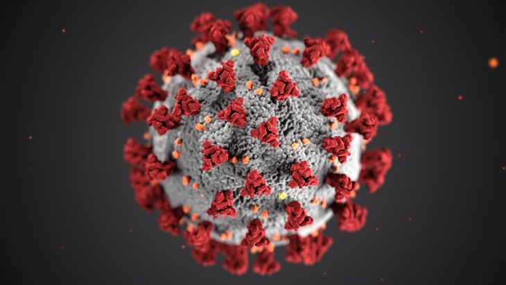 illustrasi virus Corona. . (Foto- Smithsonian Magazine)
