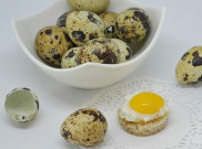 Manfaat Saat Sering Mengonsumsi Telur Puyuh