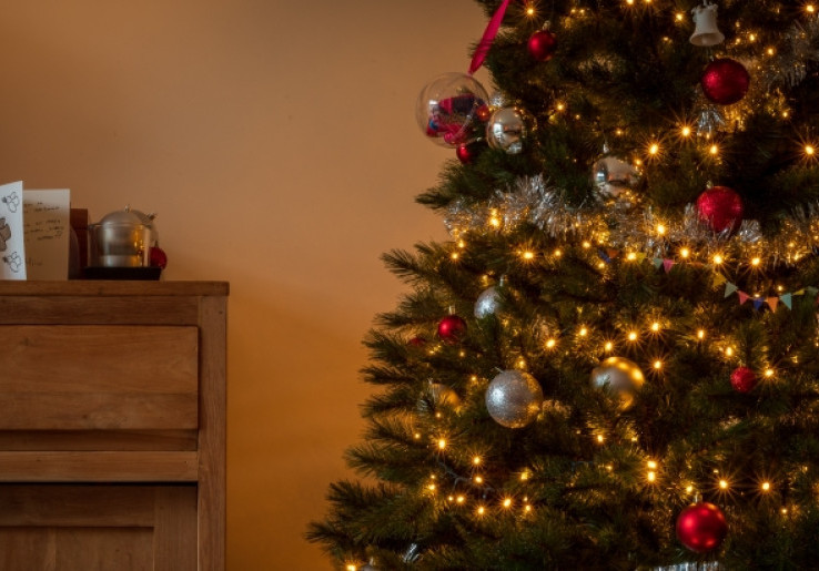 Manfaat Memasang Pohon Natal Sungguhan di Rumah
