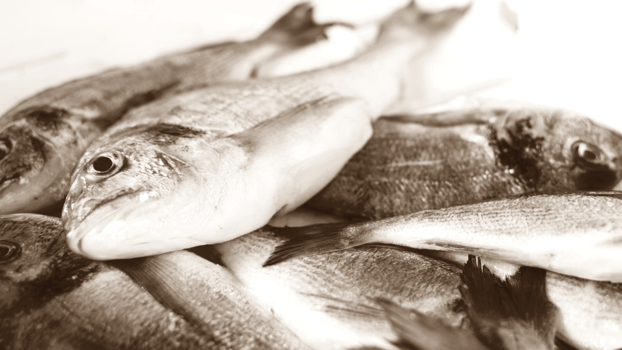 Gelombang Panas Sebabkan Ratusan Ribu Ikan Mati di Vietnam