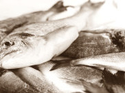Gelombang Panas Sebabkan Ratusan Ribu Ikan Mati di Vietnam