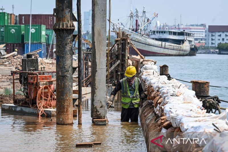 Waspada, Banjir Rob Berpotensi Terjadi di Sejumlah Pesisir Jakarta pada 3-12 November, Simak Sebabnya