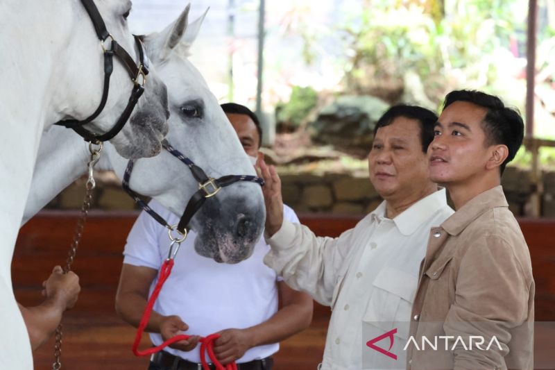Ketua Umum DPP Partai Gerindra Prabowo Subianto saat mengajari Wali Kota Surakarta Gibran Rakabuming Raka berkuda di Bukit Hambalang, Desa Bojong Koneng, Kabupaten Bogor, Jawa Barat, Sabtu (18/6/2022). ANTARA/HO-Tim Media Prabowo Subianto