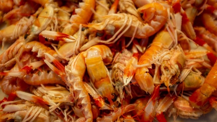 Energi Terbarukan: Baterai Terbuat dari Kulit Udang