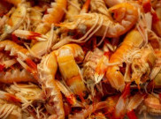 Energi Terbarukan: Baterai Terbuat dari Kulit Udang
