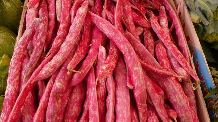 kacang merah