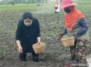 Elektabilitas Jauh di Bawah Ganjar, Puan Digoyang Sentimen Patriarki?