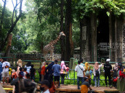 PSI Tolak Rencana Pramono Buka Ragunan hingga Malam Hari, Pertanyakan Kesiapan Fasilitas